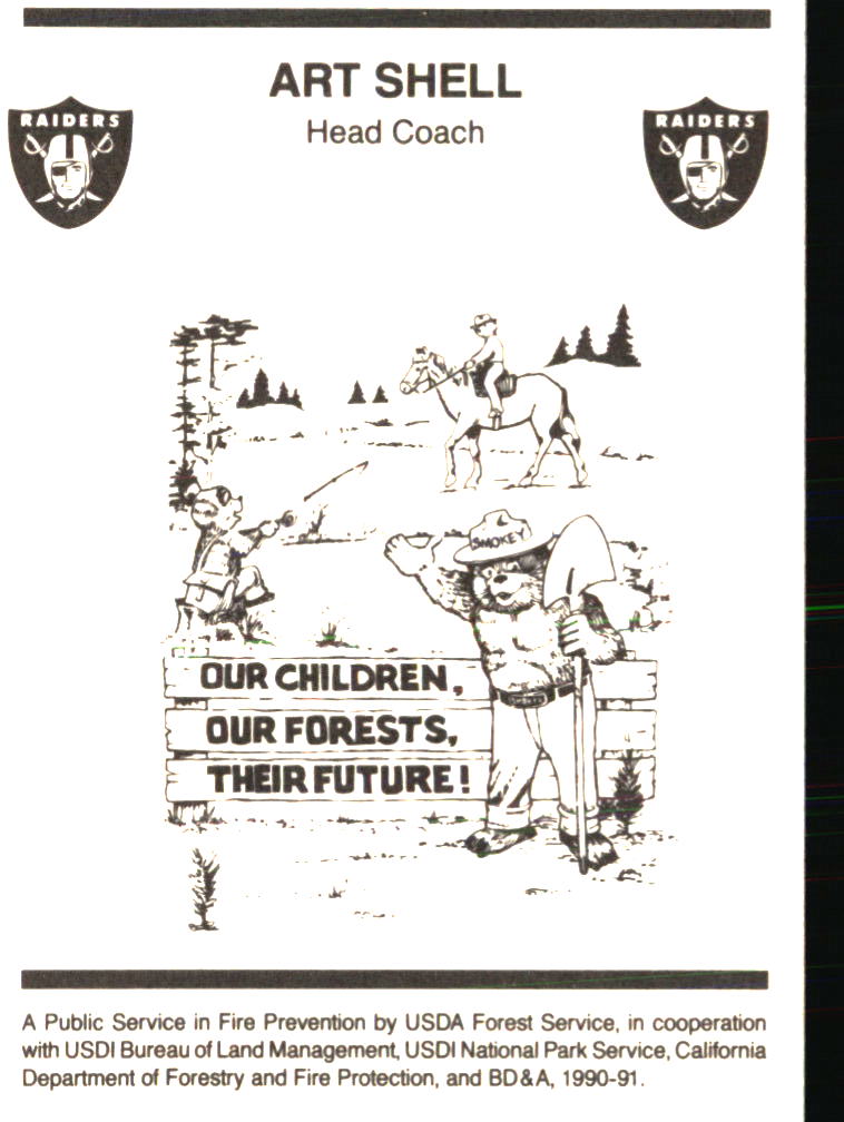 Tarjetas de fútbol americano Oakland Raiders - Elige entre 100 jugadores cantidad descuento - Parte 3 - Imagen 397 de 497